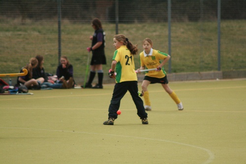MINIS TOURNAMENT @ PELICANS - 22ND FEBRUARY 2009 - photo 70 (pictures\img_3532.jpg)